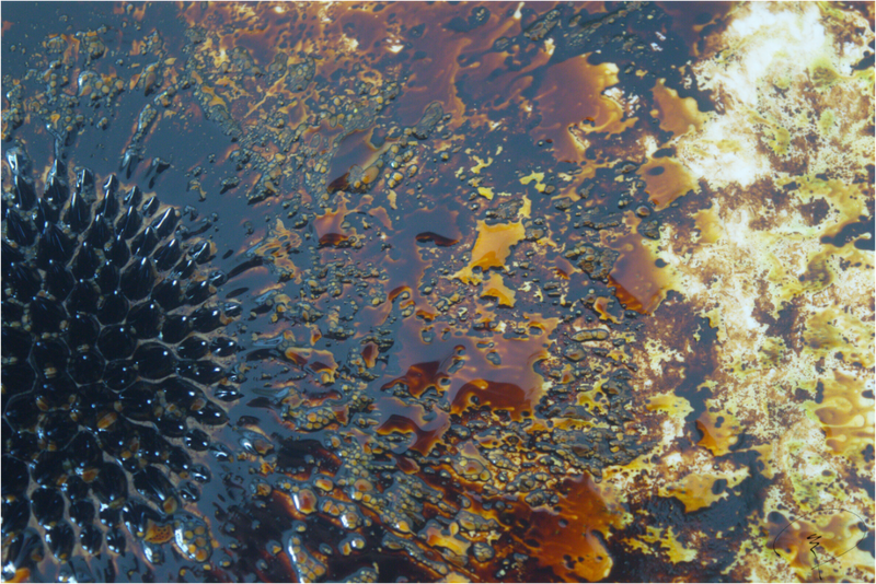 The Fall Piece 8
