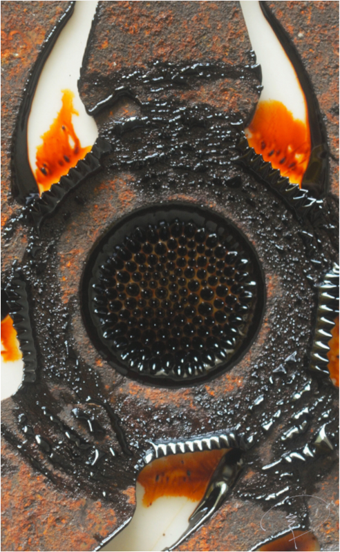 The Eye Piece 5